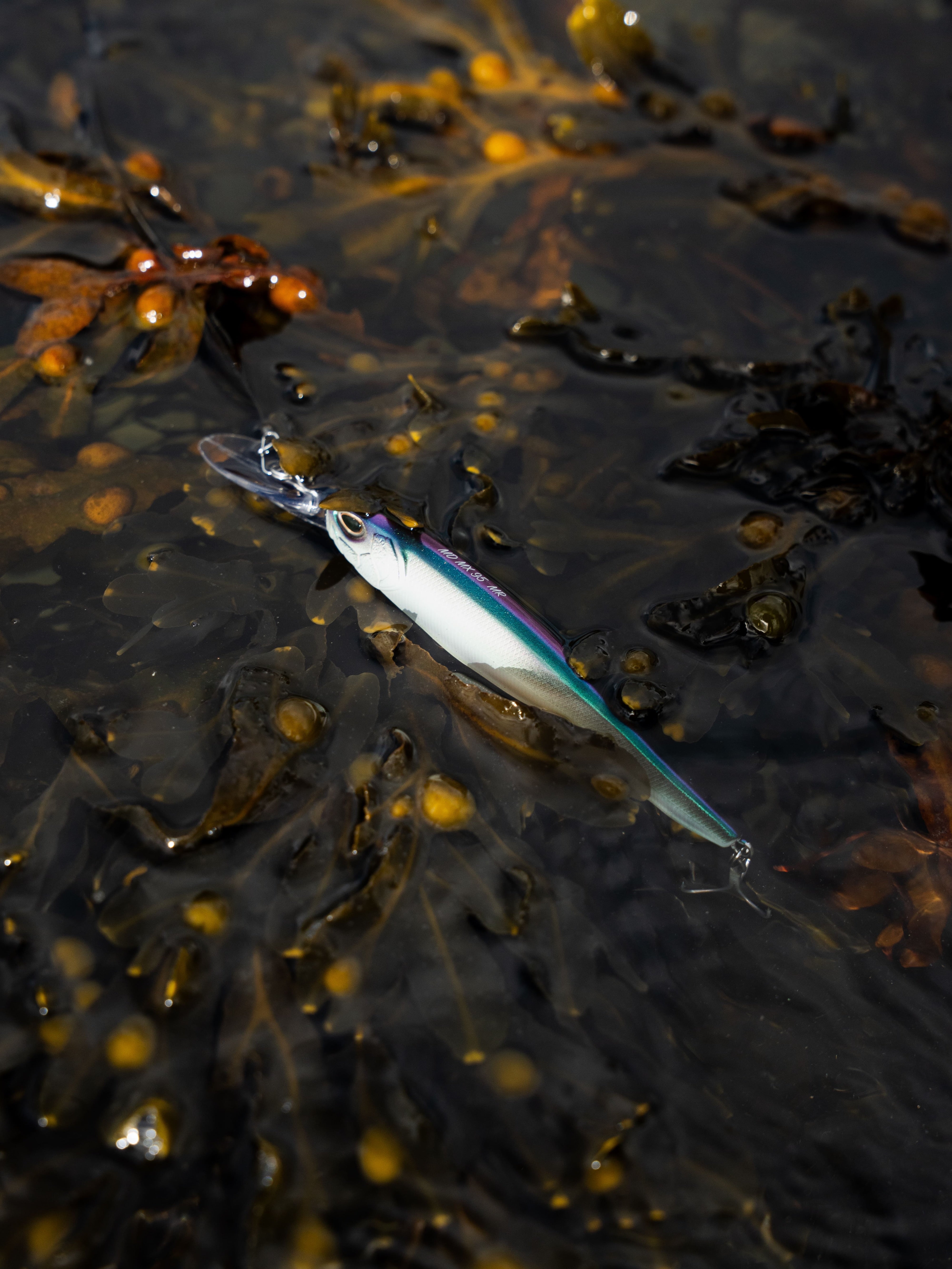Nays MD MX Wobbler Twitchbait Angelköder im realistischen Fischdesign schwimmend zwischen dunklen Algen und Seegras im Wasser.