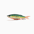 Nays Swimbait Raubfisch Angelköder für Barsch, Zander und Hecht im auffälligen Barsch fire-tiger Dekor.